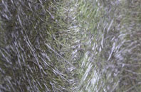 Bozeat fibreglass roof work